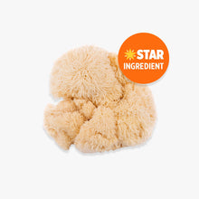 Load image into Gallery viewer, Orange County Lion&#39;s Mane Extract 240,000mg

