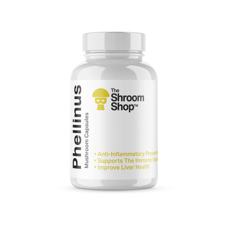 Phellinus Mushroom Capsule (90x500mg) - The Shroom Shop
